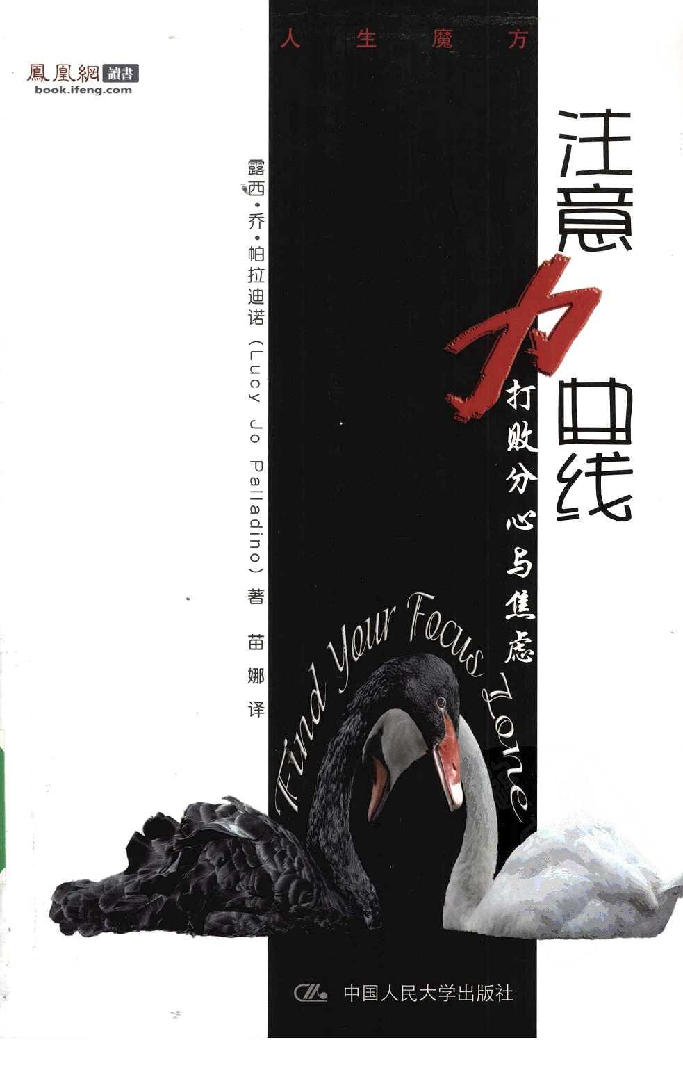 注意力曲线：打败分心与焦虑（美）露西·乔·帕拉迪诺