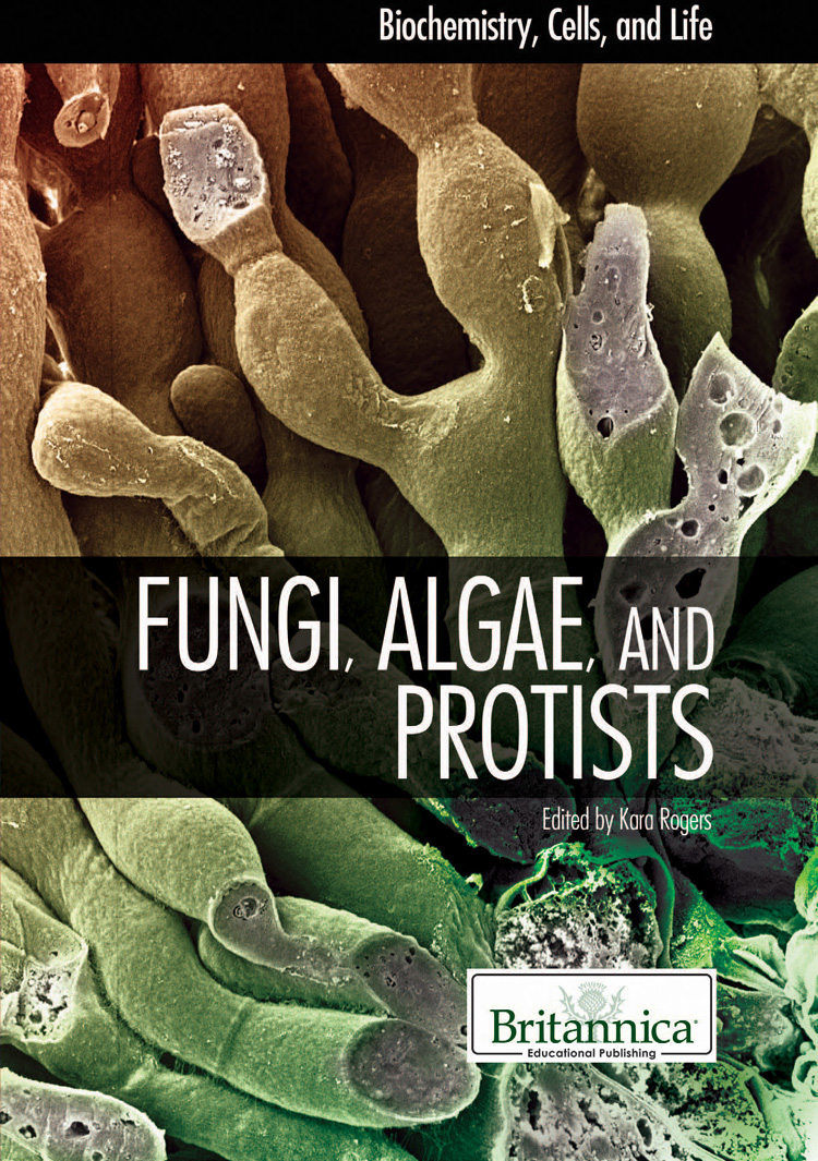Fungi, Algae, and Protists