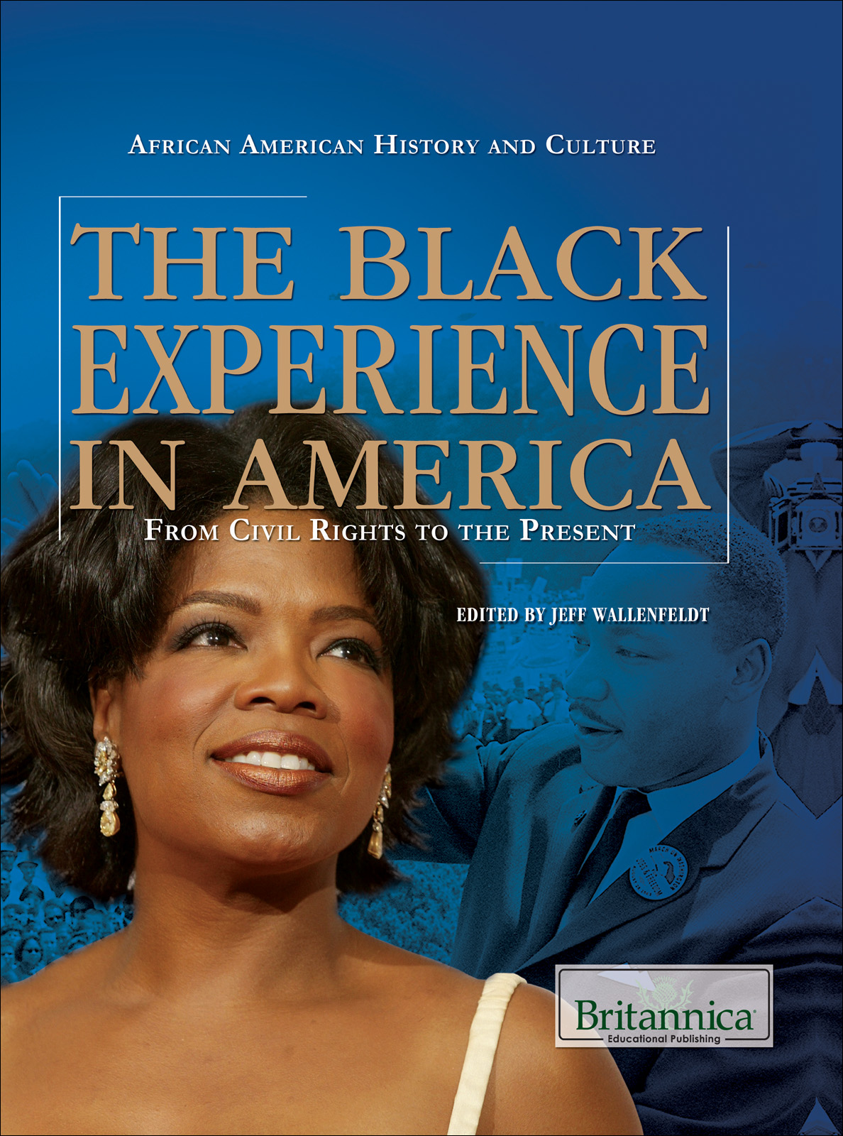 The Black Experience in America