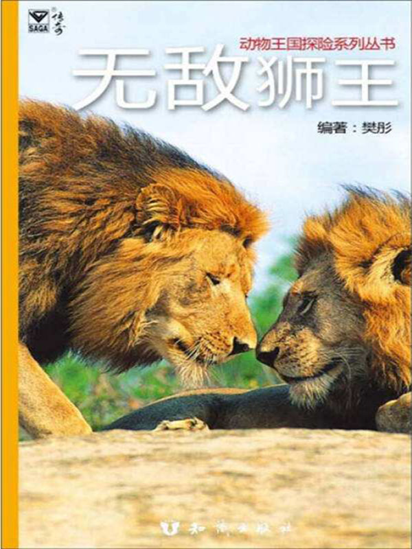 无敌狮王