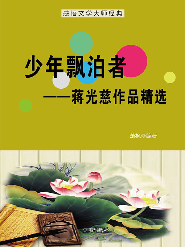 少年漂泊者：蒋光慈作品精选