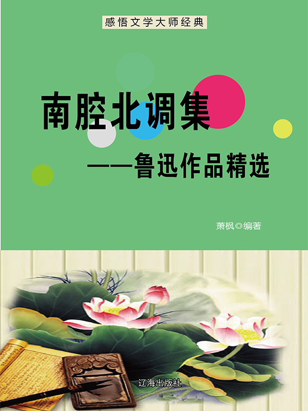 南腔北调集：鲁迅作品精选