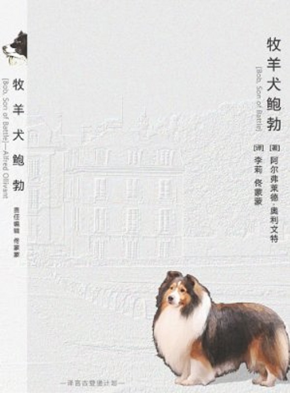 牧羊犬鲍勃