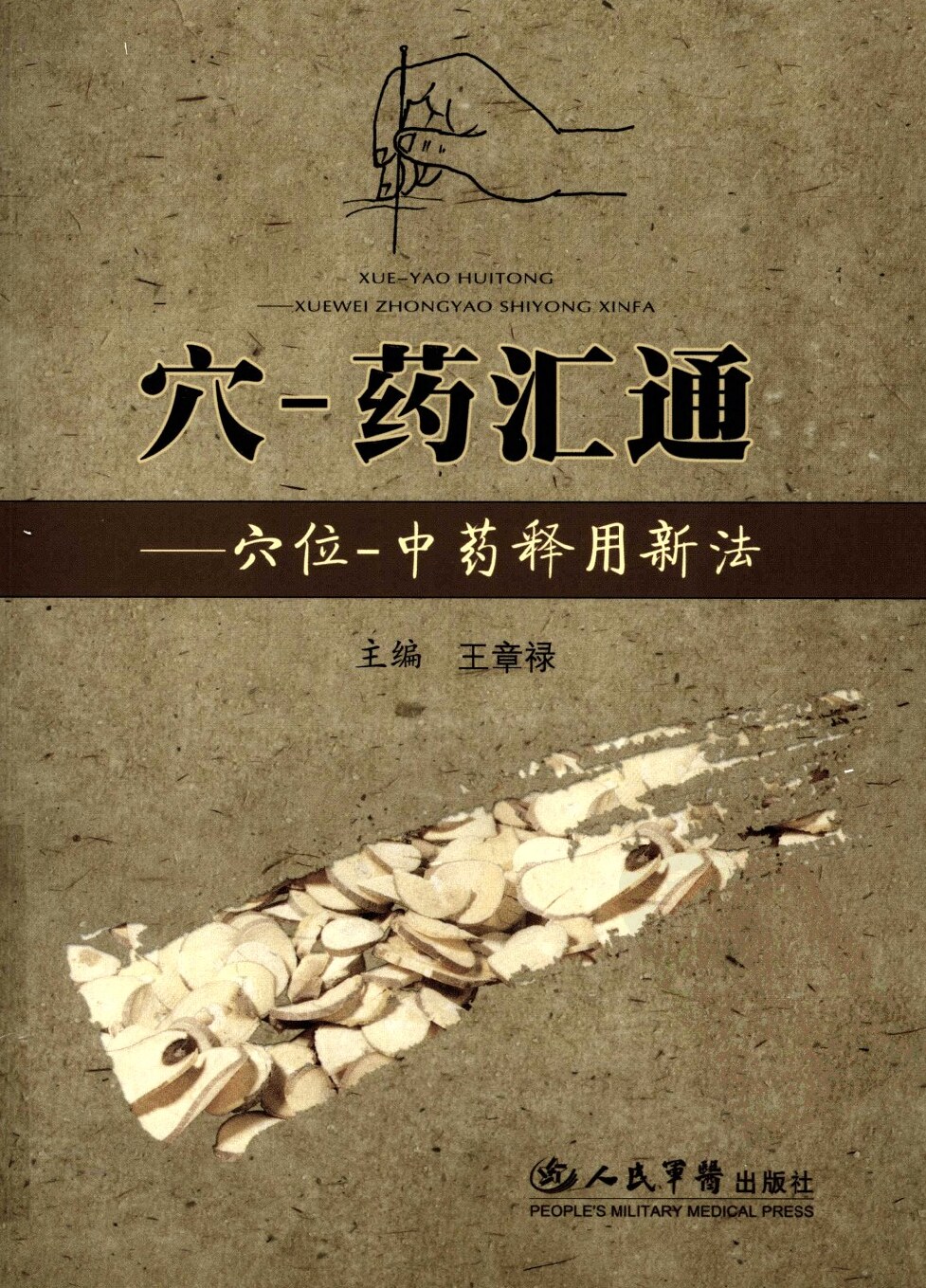 穴-药汇通：穴位-中药释用新法